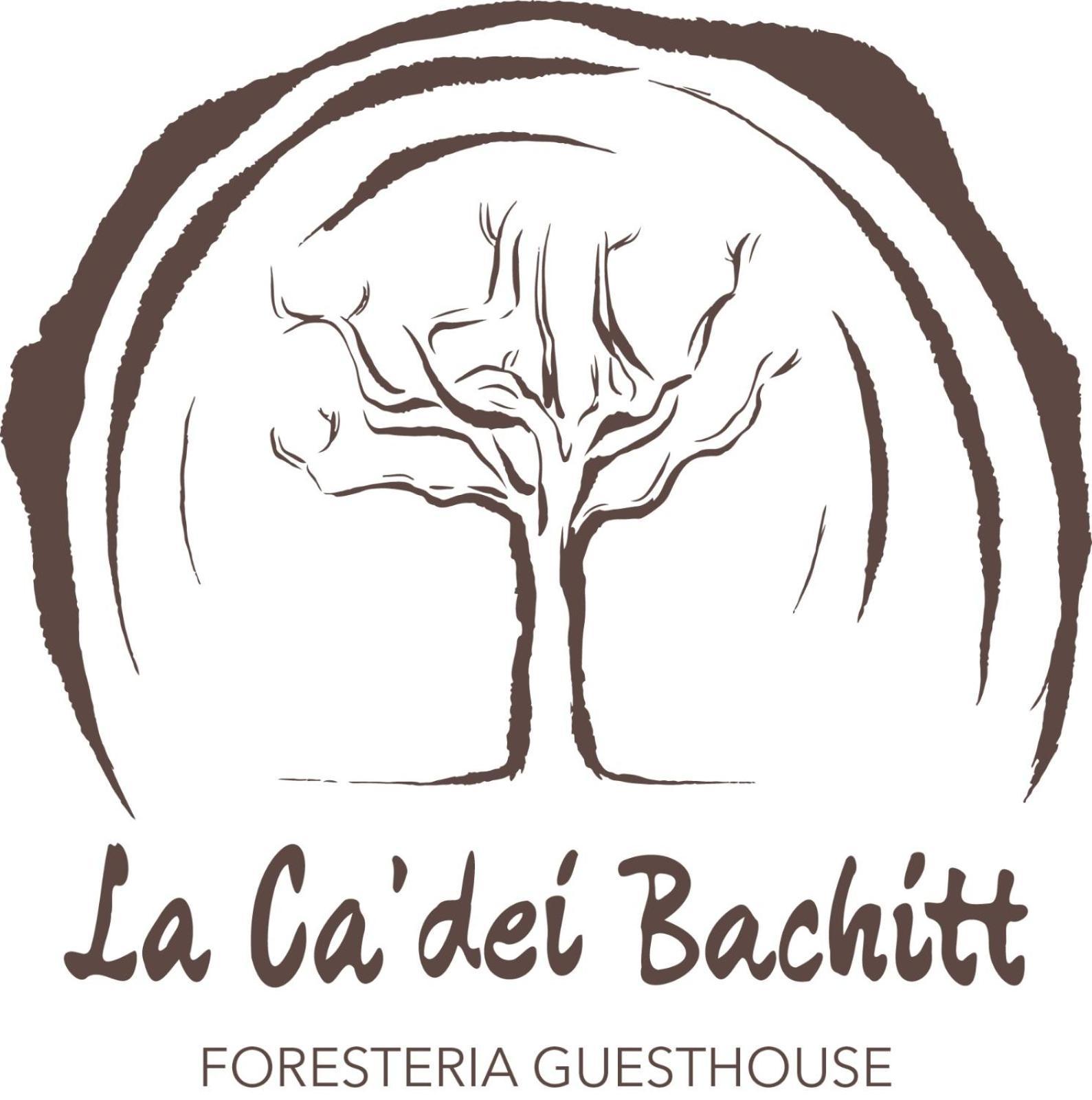 Foresteria Guesthouse Ca' Dei Bachitt Lierna Buitenkant foto